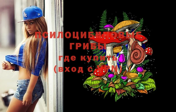 твердый Балахна