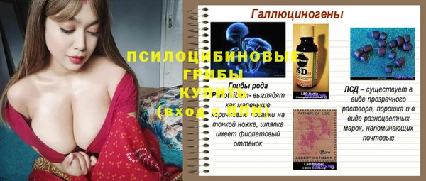 твердый Балахна