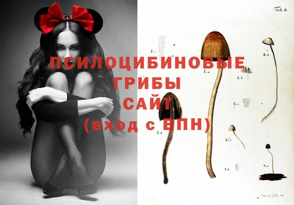 MESCALINE Баксан
