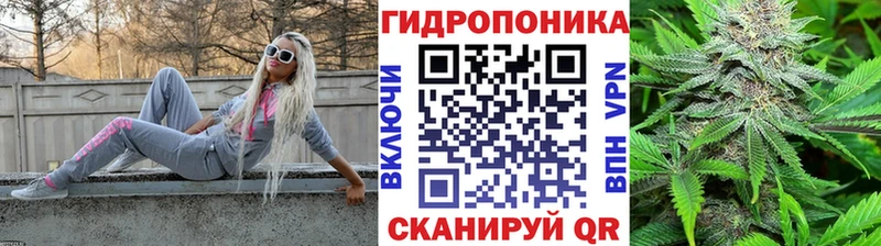 МАРИХУАНА конопля  Мышкин 